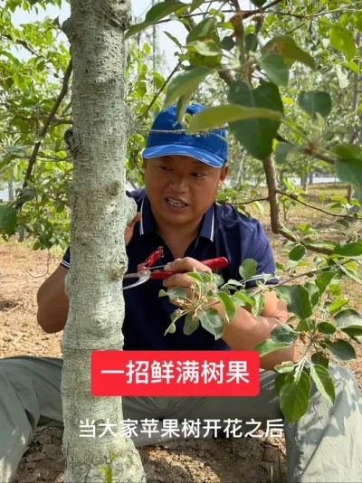 #新农人计划2025 #果树管理技术 #农业技术推广 #病虫害防治 #我的乡村生活