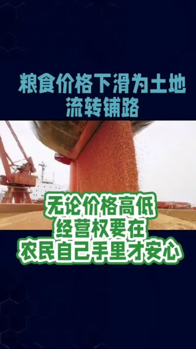粮食低价根本原因？