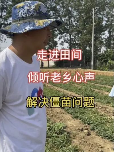 老乡辣椒僵苗解决方案#辣椒种植技术 #分享农业知识帮农民增产增收 #三农流量扶持计划