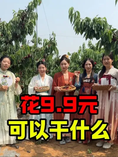 大樱桃采摘的快乐#又到了炫樱桃的季节 #采摘樱桃 #车厘子大樱桃