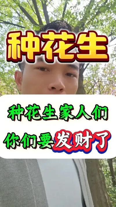 种花生的家人们，今年你们要发财了。#花生种植 #种花生 #花生高产 #花生高产种植 #花生种植管理技术