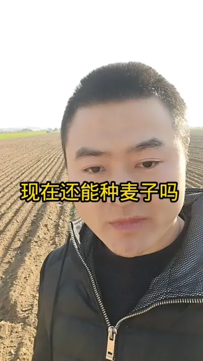 现在还能种麦子吗 #病虫害防治#农业植保知识分享 #农民种地不容易#肥料#抖音助农
