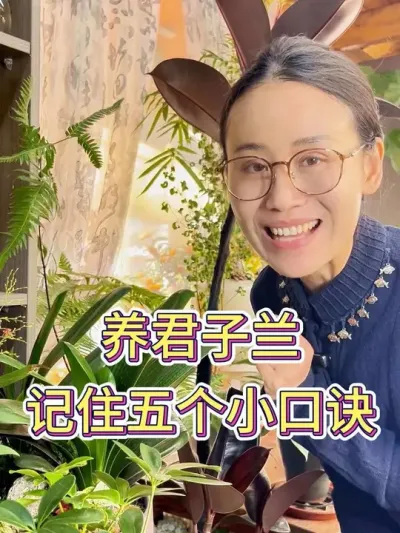养君子兰记住五个小口诀#君子兰 #君子兰养殖 #花卉绿植 #养花小知识 #种植小技巧