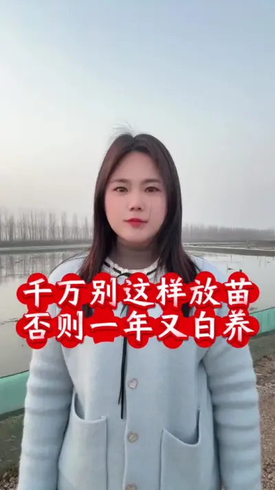 螃蟹千万别这样放苗，否则一年又白干#螃蟹养殖 #大闸蟹养殖基地 #水产养殖