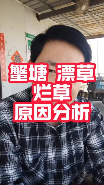 蟹塘水草漂浮 腐烂原因分析！#螃蟹养殖 #河蟹养殖 #大闸蟹养殖 #养蟹 #抖音助农