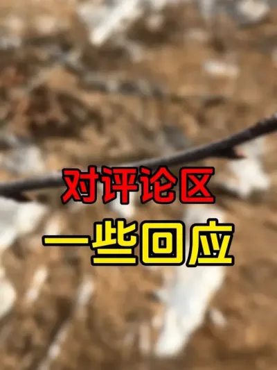 #大樱桃修剪 #车厘子 #果树修剪 #车厘子树苗