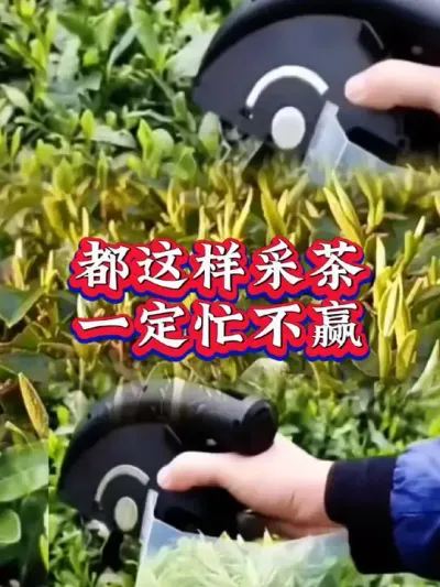 #服务三农支持三农 #扶农助农 #茶 #茶树种植技术与管理 #采茶