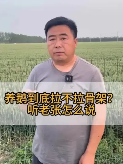#三农 #每天分享养殖技术和经验 #鸡鸭鹅养殖