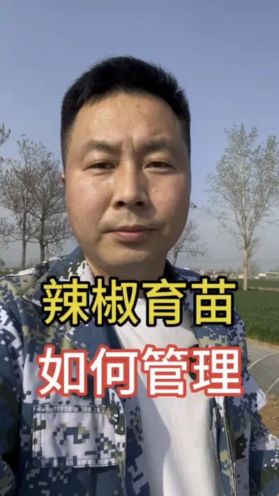 #辣椒种植 #辣椒育苗技术 #传播农业小知识 #分享农业知识帮农民增产增收 #关注我每天为你分享更多农业知识