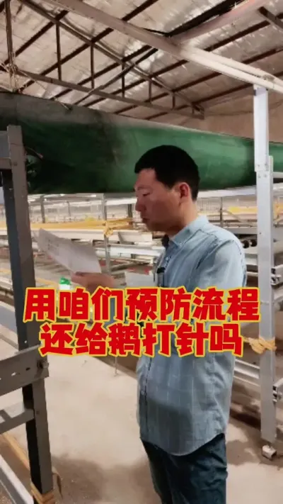 用咱们全流程预防，还用给鹅打针吗？#狮头鹅 #鹅苗 #养鹅 #养鹅人 #养鹅技术