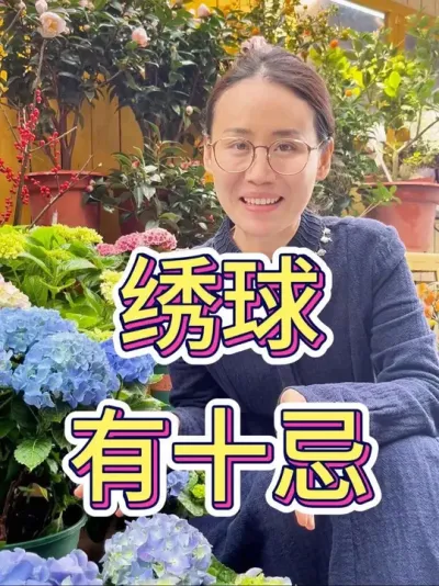 绣球有10忌#养绣球花 #绣球怎么养护 #爱生活爱养花 #养花小知识 #种植小技巧