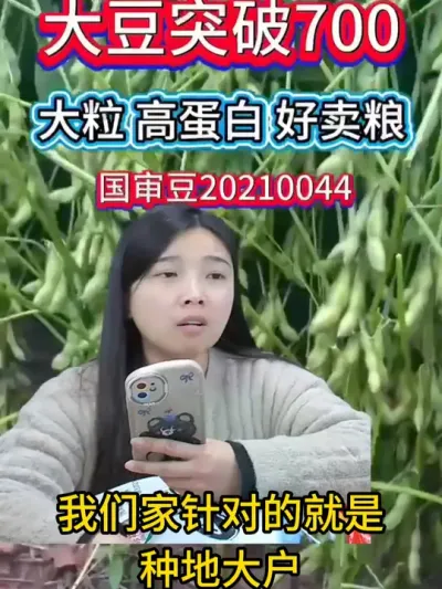 种植大户们，了解过我们家的高产金豆种子吗？ #服务三农支持三农 #抖音助农 #种子 #农业种植