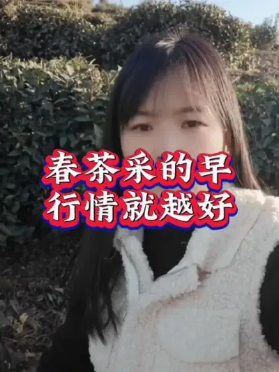 #抖音助农扶农 #服务三农支持三农 #高产 #茶树种植技术与管理 #茶