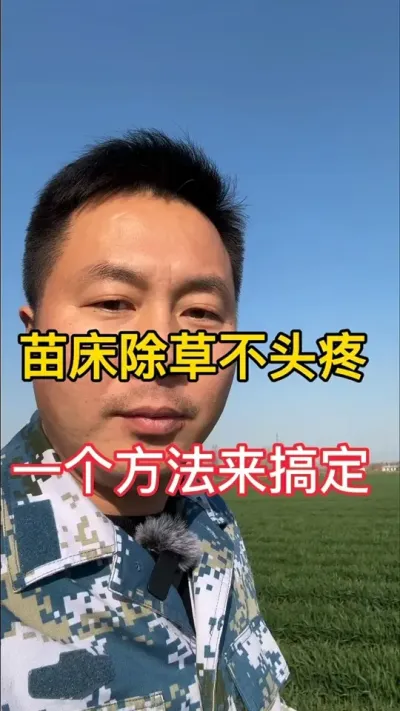 #育苗技术#辣椒种植 #服务三农支持三农 #传播农业小知识 #春耕进行时