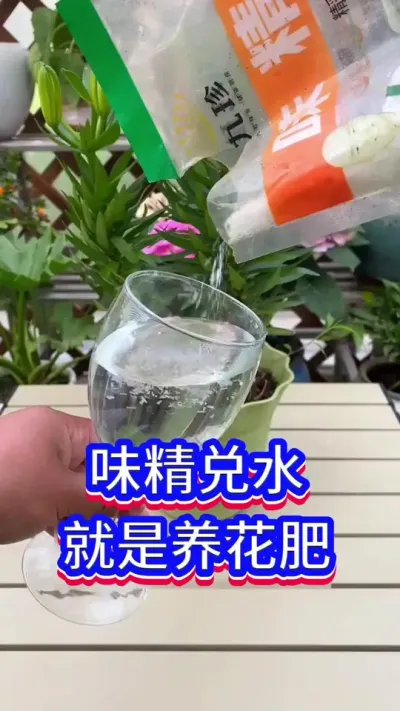 自制养花肥#养花小知识 #英子园艺 #花卉绿植