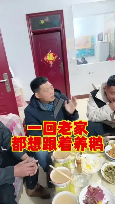 回老家过个年，都想跟着养鹅嘞！2025年养鹅的一点建议！！！#养鹅 #养鹅技术分享 #科学养鹅 #三农养殖 #狮头鹅养殖