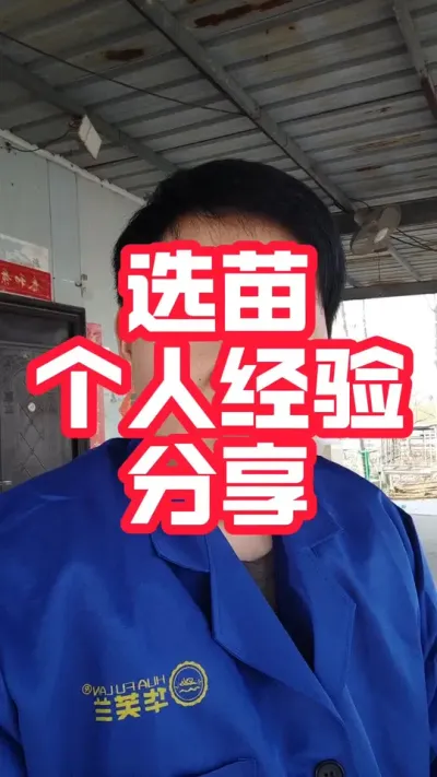蟹塘选苗个人经验分享！#螃蟹养殖 #大闸蟹养殖 #河蟹养殖 #怎么选苗#抖音助农