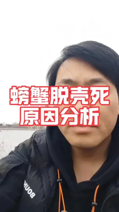 螃蟹出现脱壳死原因分析！#河蟹养殖 #大闸蟹养殖 #螃蟹养殖 #螃蟹 #抖音助农