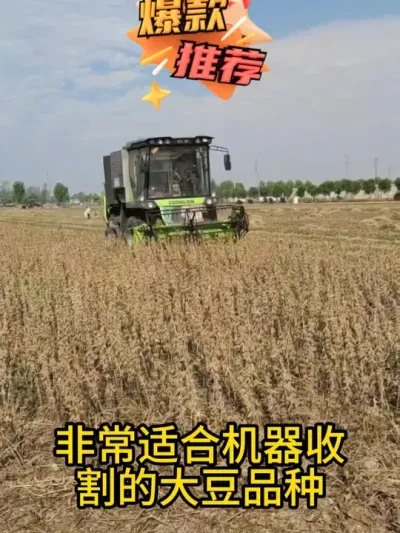 这豆子荚真密，这是什么品种，这么高产啊 #农业种植 #抖音助农 #高产 #助农 #三农