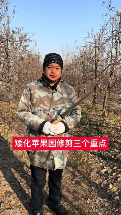 #农业技术推广 #果树管理技术 #病虫害防治 #苹果树修剪 #新农人计划2025