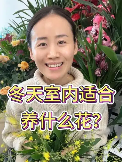 冬天室内适合养什么花#花卉绿植 #养花小知识 #花卉养护 #室内盆栽 #文心兰养护