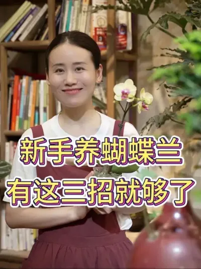 新手养蝴蝶兰，有这三招就够了#蝴蝶兰 #蝴蝶兰养护 #花卉绿植 #养花小知识 #养花人的乐趣