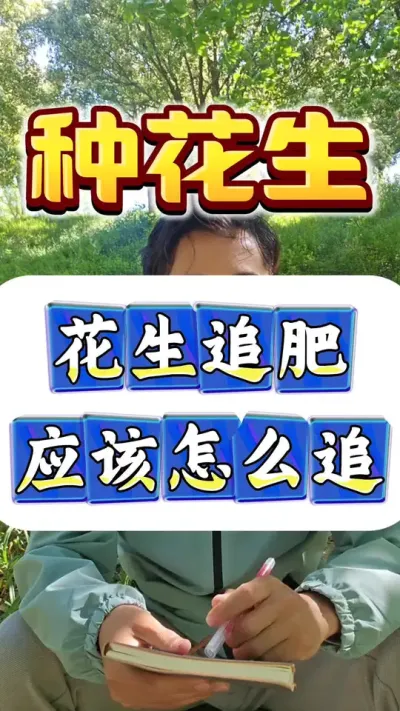 花生追肥应该怎么追？#花生种植管理技术 #花生种植 #花生高产 #种花生 #花生高产种植