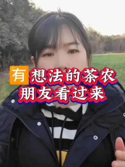 #服务三农支持三农 #茶树种植技术与管理 #抖音助农 #茶 #春茶采摘