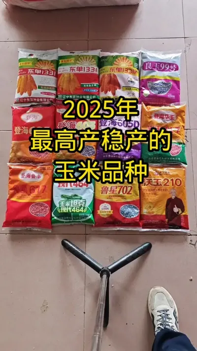 #高产玉米种子 #病虫害防治#抖音助农#肥料