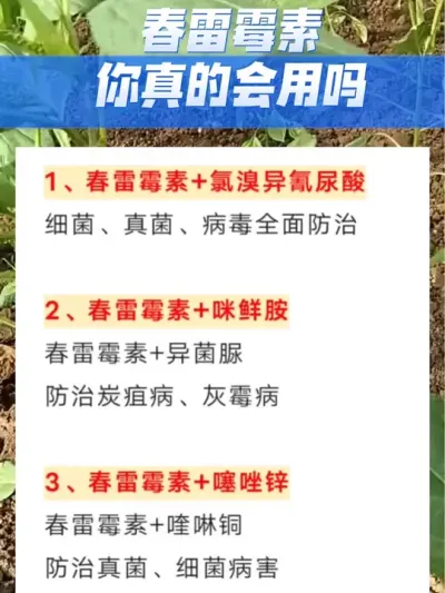 春雷霉素你真的会用吗#分享农业知识帮农民增产增收 #三农 #农业种植技术