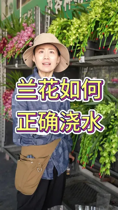 看看你原来是怎么给兰花浇水的#花卉绿植 #花卉 #兰花小知识 #养花 #兰花种植
