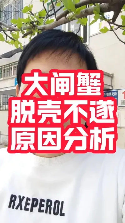 河蟹脱壳不遂原因分析#硬壳素#大闸蟹养殖#螃蟹养殖#河蟹养殖#抖音助农