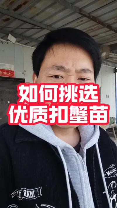 如何挑选优质的扣蟹苗！#大闸蟹养殖 #螃蟹养殖 #河蟹养殖 #怎么养螃蟹 #抖音助农