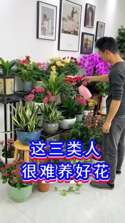 3种人，很难养好花#养花小知识 #英子园艺 #爱生活爱养花