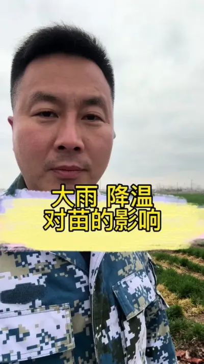 #辣椒种植 #抖音助农 #蔬菜种植 #新农人计划 #农业种植