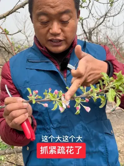 #新农人计划2025 #病虫害防治 #农业技术推广 #果树管理技术 #抖音助农