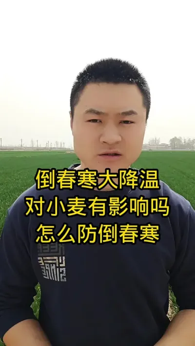 #农业植保知识分享 #分享农业知识帮农民增产增收 #农资肥料 #病虫害防治 #三农天气@抖音三农 @抖音小助手