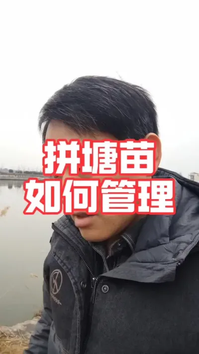 苗塘下苗，如果遇到拼塘尾苗！如何才能保证苗种顺利下塘少损伤呢！#螃蟹#大闸蟹养殖#河蟹养殖#蟹苗成活率#抖音助农