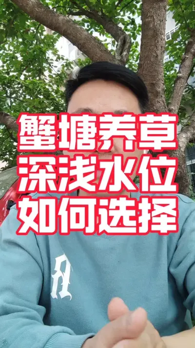 蟹塘深水养草好，还是浅水养草好！#大闸蟹养殖#螃蟹养殖#河蟹养殖#大闸蟹#水产养殖