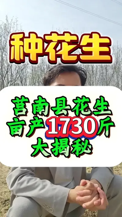 莒南县花生亩产1730斤大揭秘。#花生种植 #花生高产 #种花生 #花生种植管理技术 #花生高产种植
