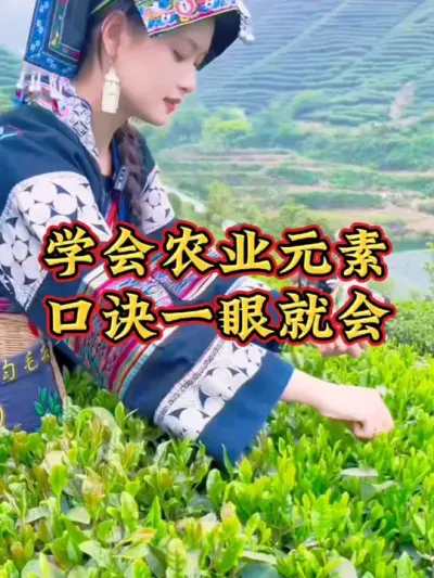 #春茶采摘 #抖音助农扶农 #召唤茶友 #茶树种植技术与管理