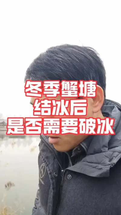 苗塘结冰如何应对，是不是都需要破冰呢！#大闸蟹养殖 #螃蟹养殖 #河蟹养殖 #螃蟹 #抖音助农