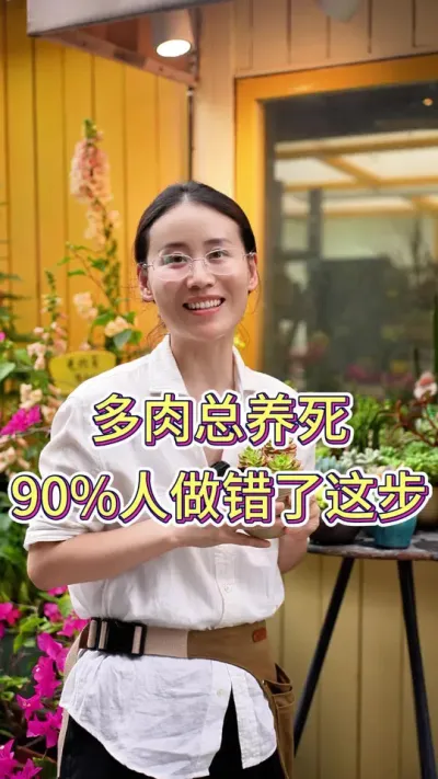 多肉总养死，90%人做错了这步#多肉#多肉养护 #养花小知识 #养花人的乐趣 #花卉绿植