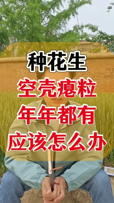 种花生空壳瘪粒年年都有，应该怎么办？#花生种植#花生高产#种花生 #花生种植管理技术 #花生高产种植