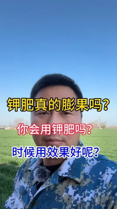 #肥料 #传播农业小知识 #磷酸二氢钾 #分享农业知识帮农民增产增收 #磷钾肥的功效与作用