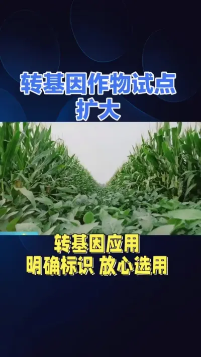转基因食品问题