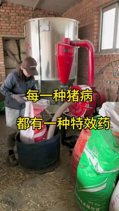 #科学养猪方法 #每天分享养殖技术和经验 #养猪 #养猪人加油干