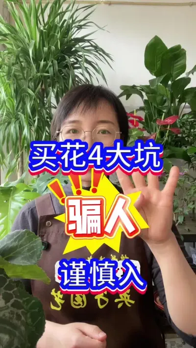 买花4大坑，谨慎入手#养花小知识 #花卉绿植 #英子园艺