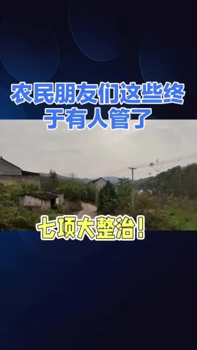 七项大整治