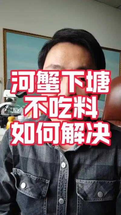 蟹苗下塘不吃料怎么解决！#大闸蟹养殖#螃蟹养殖#河蟹养殖#大闸蟹#抖音助农